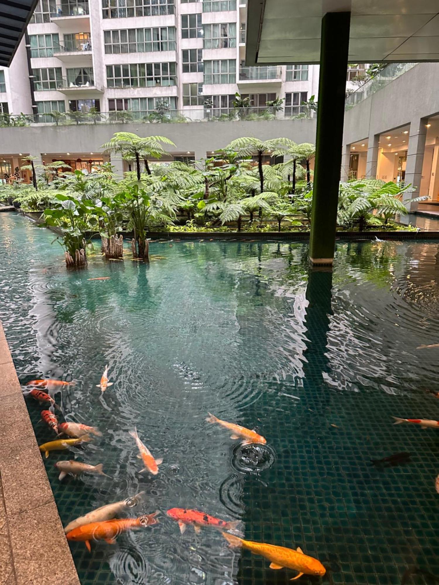Modern Bauhaus Studio At Regalia Klcc Infinity Pool Kuala Lumpur Eksteriør billede
